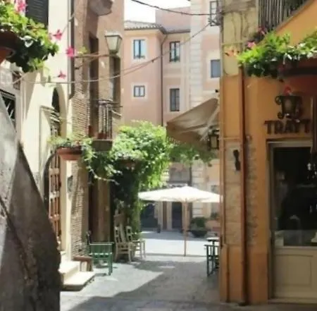 Cocorita Nettuno