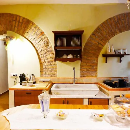 Apartman Cocorita *