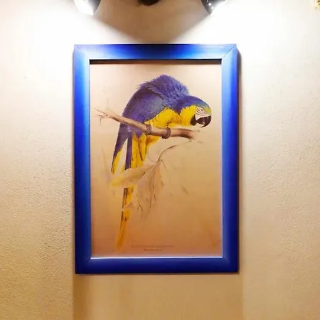 Apartman Cocorita Nettuno