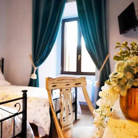 Apartman Cocorita *